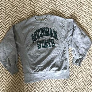 Vintage Michigan state college crewneck hoodie, baggy in heather gray and green.
